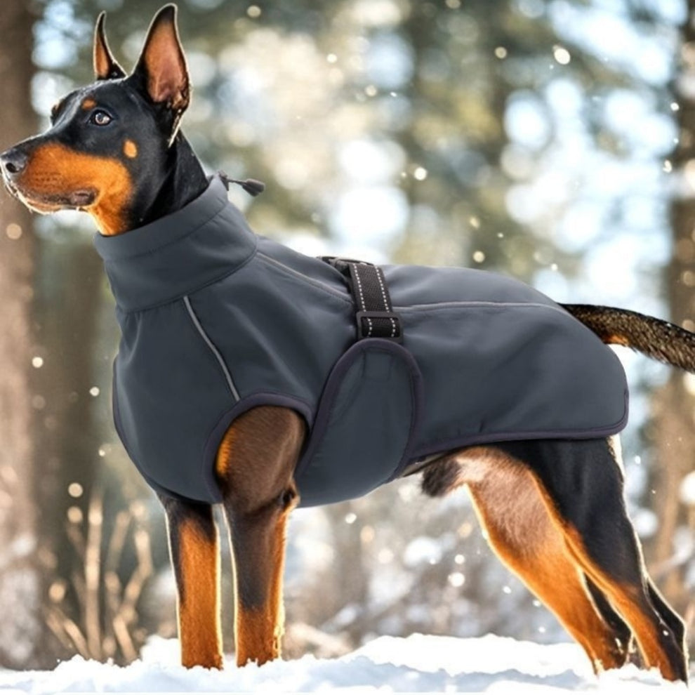 PETS Fashion This Winter