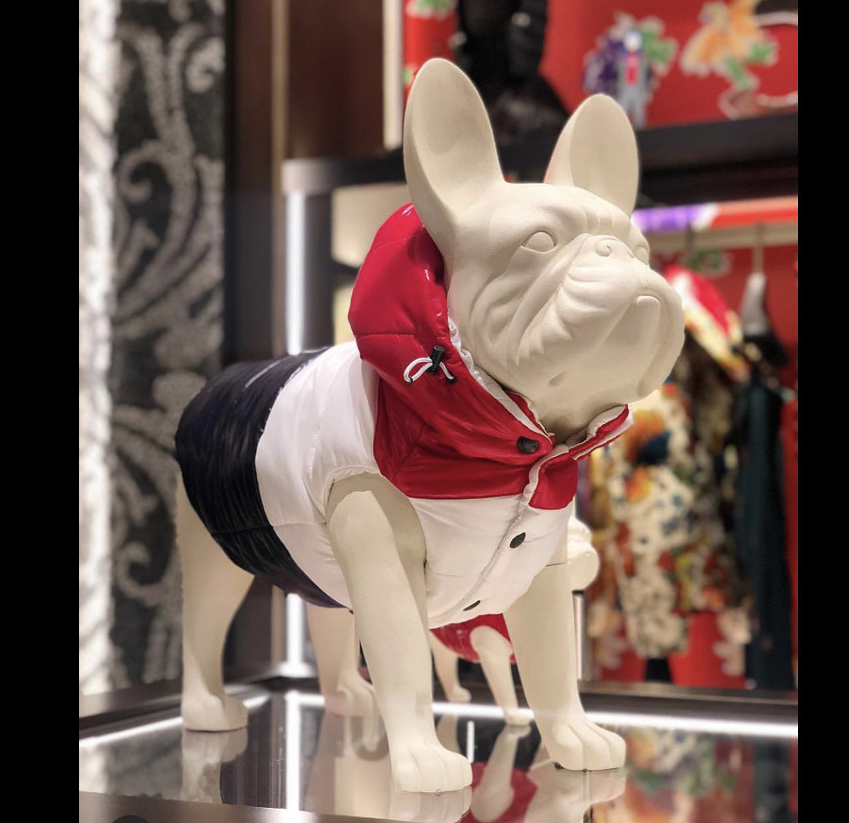 Pet Clothing Autumn And Winter Down Vest